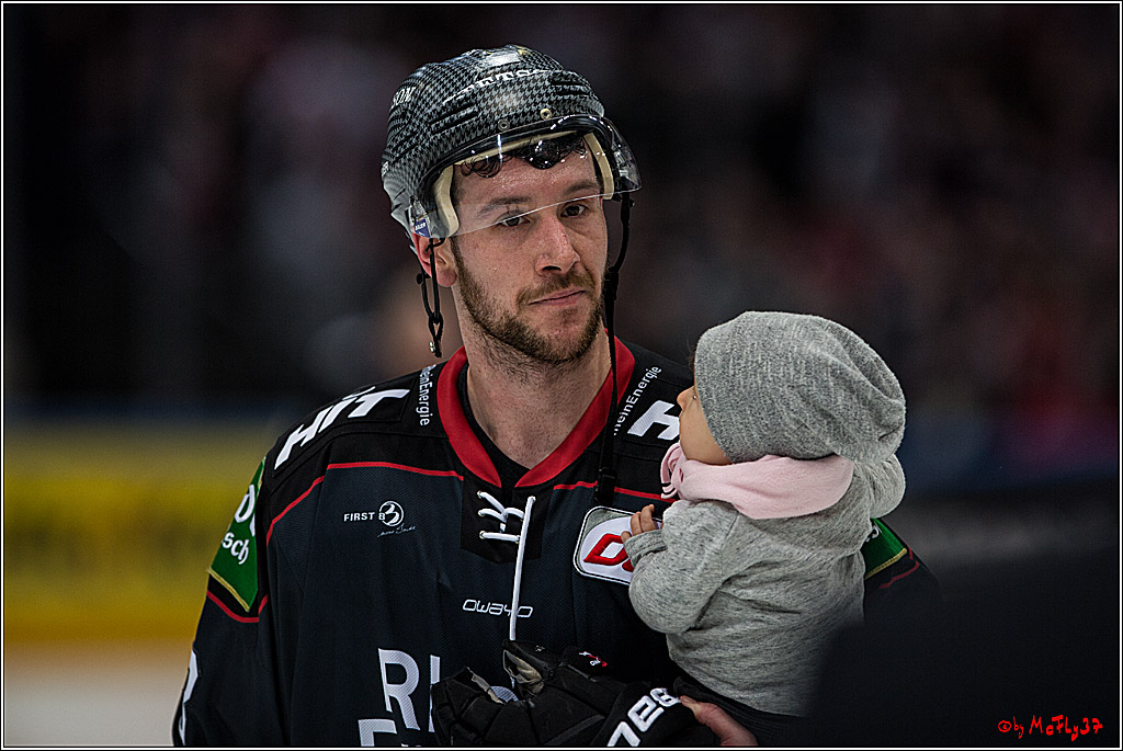 DEL, Koelner Haie - Fishtown Pinguins Bremerhaven, 29.01.2017